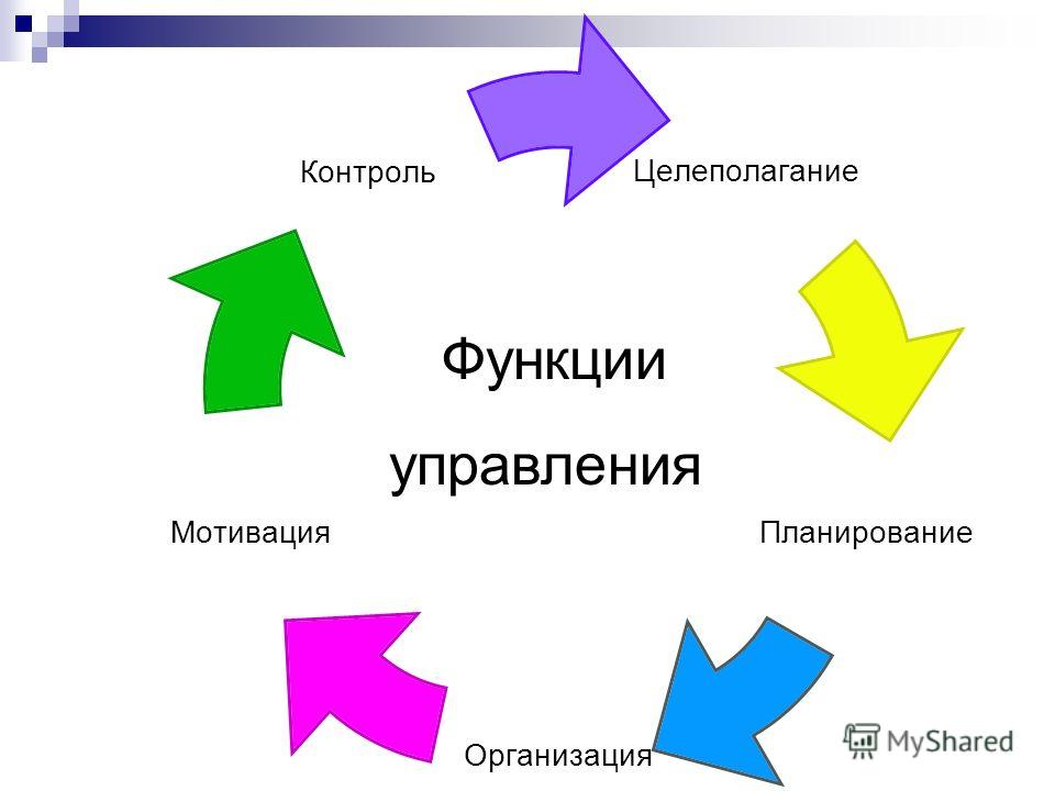Сущность и Виды Ответственности Руководителя