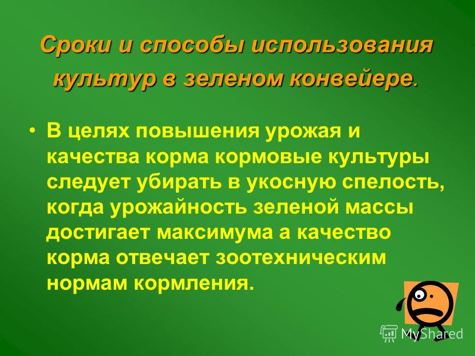 Зелёный горошек правильное выращивание и заготовка на зиму. Огород Выращивание зеленого горошка на дачном участке - Венская дача