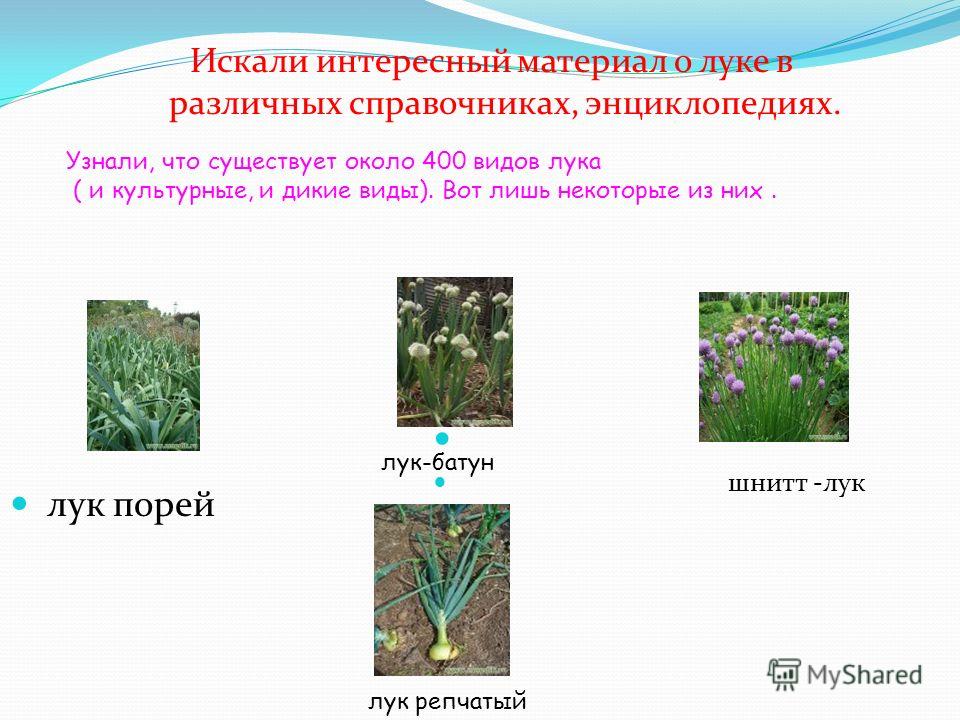 Обучающие игры своими руками для дошкольников Обучающие игры своими руками для дошкольников