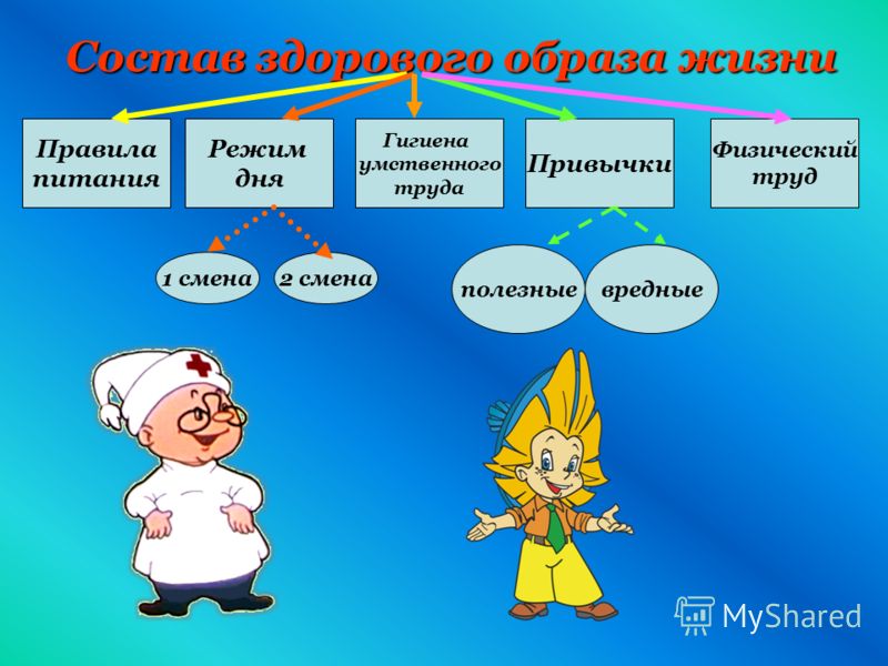 режим здорового питания для похудения режим здорового питания для похудения