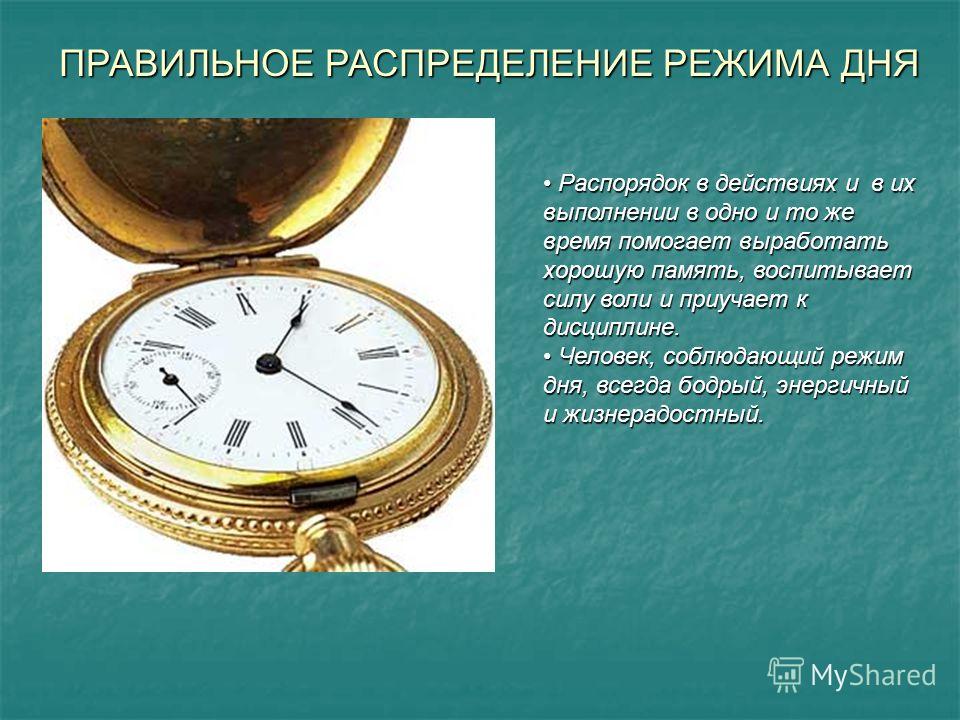 распорядок правильного питания для похудения распорядок правильного питания для похудения