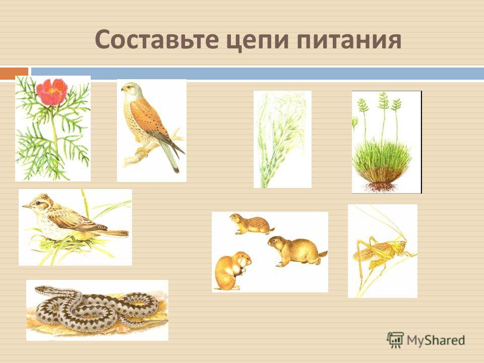 Скачать бесплатно песни киркорова просто подари мне один только взгляд Скачать бесплатно песни киркорова просто подари мне один только взгляд