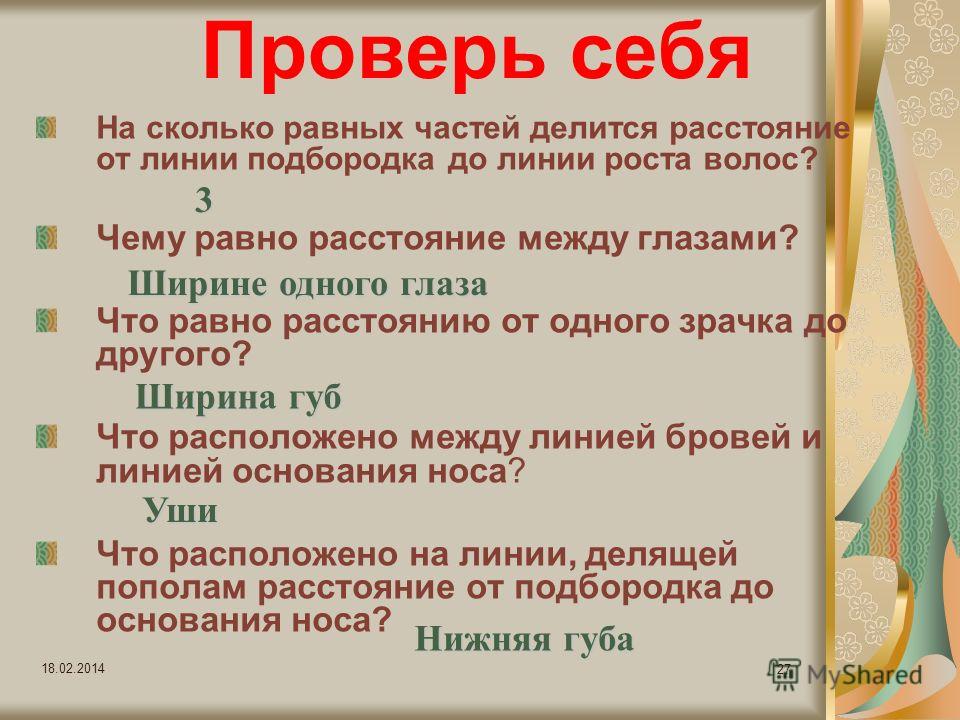 На сколько частей делится беременность