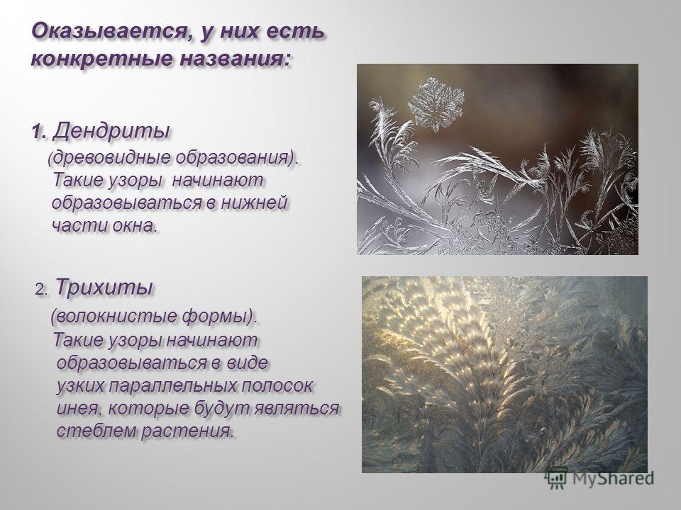 Ледяные узоры на окна Ледяные узоры на окна