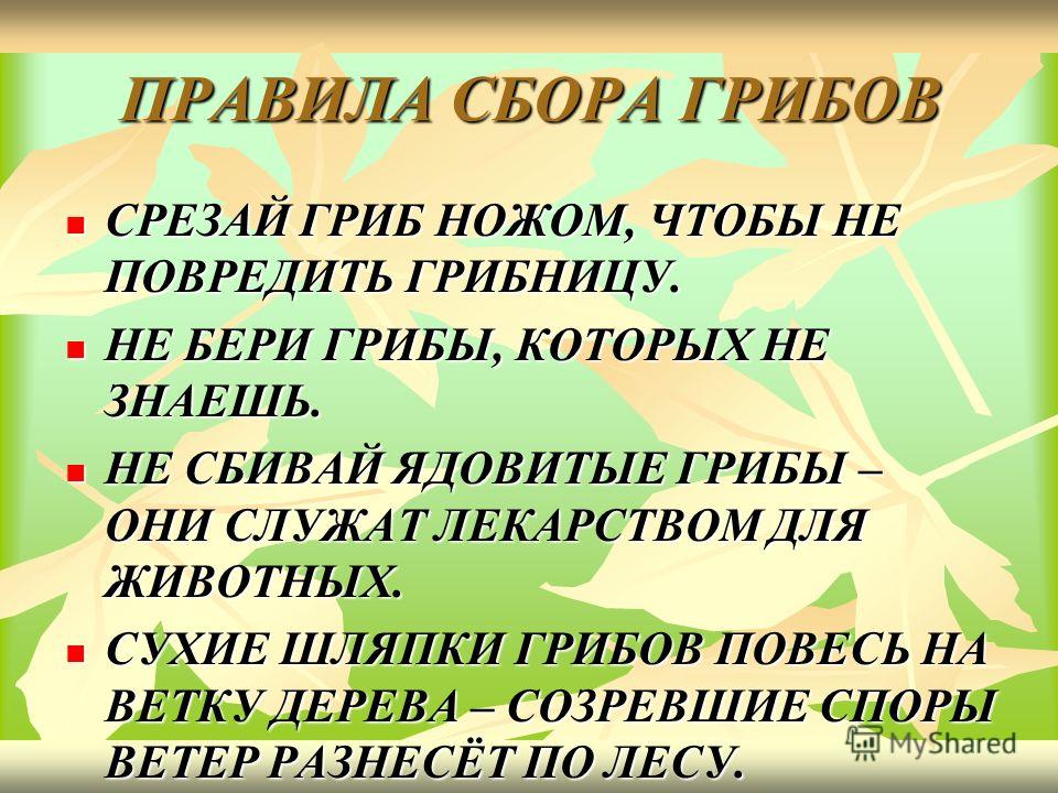 сухие лисички от паразитов отзывы сухие лисички от паразитов отзывы