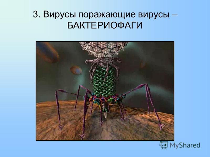 3. Вирусы поражающие вирусы – БАКТЕРИОФАГИ