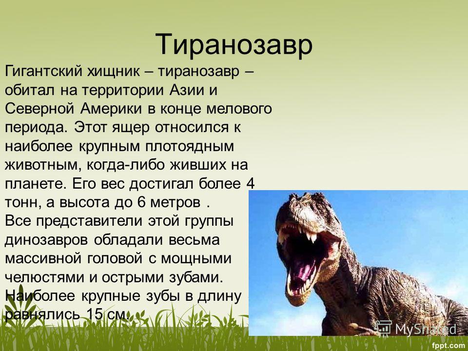 Тиранозавр Бесплатно