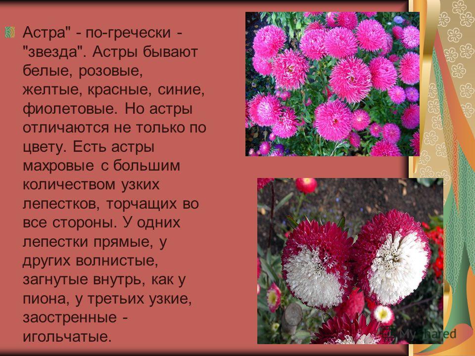 День самоуправления поздравления День самоуправления поздравления