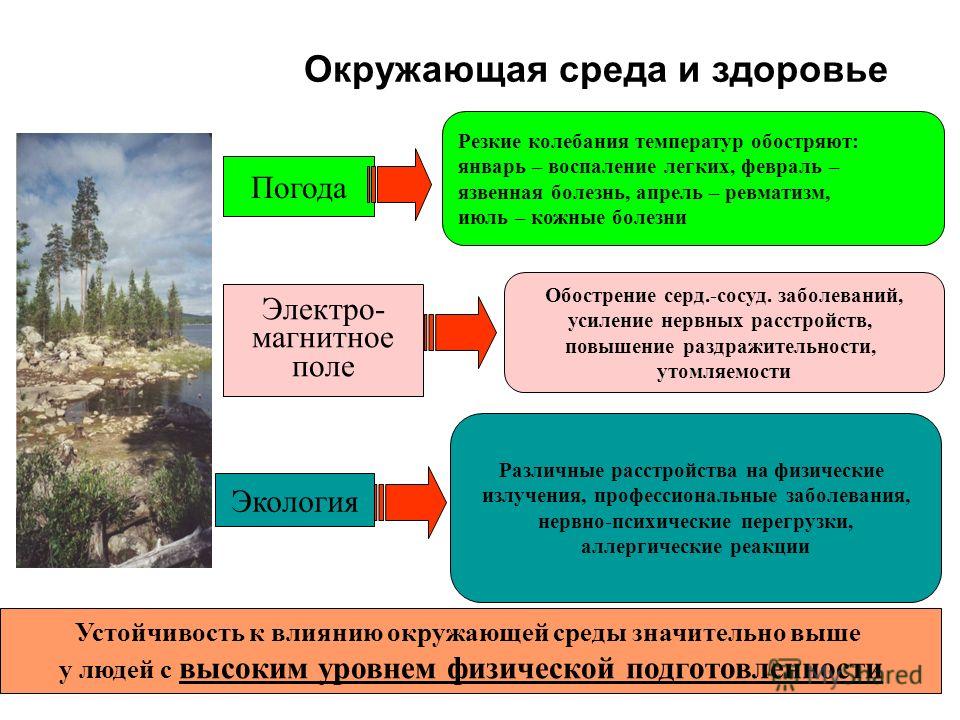 Эхо Москвы: Блог