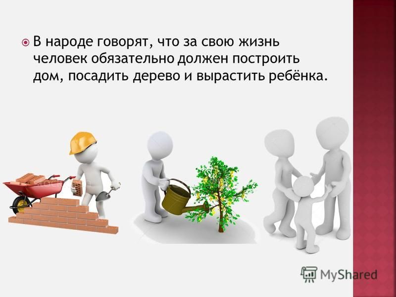 Жизни человек проект как сделать