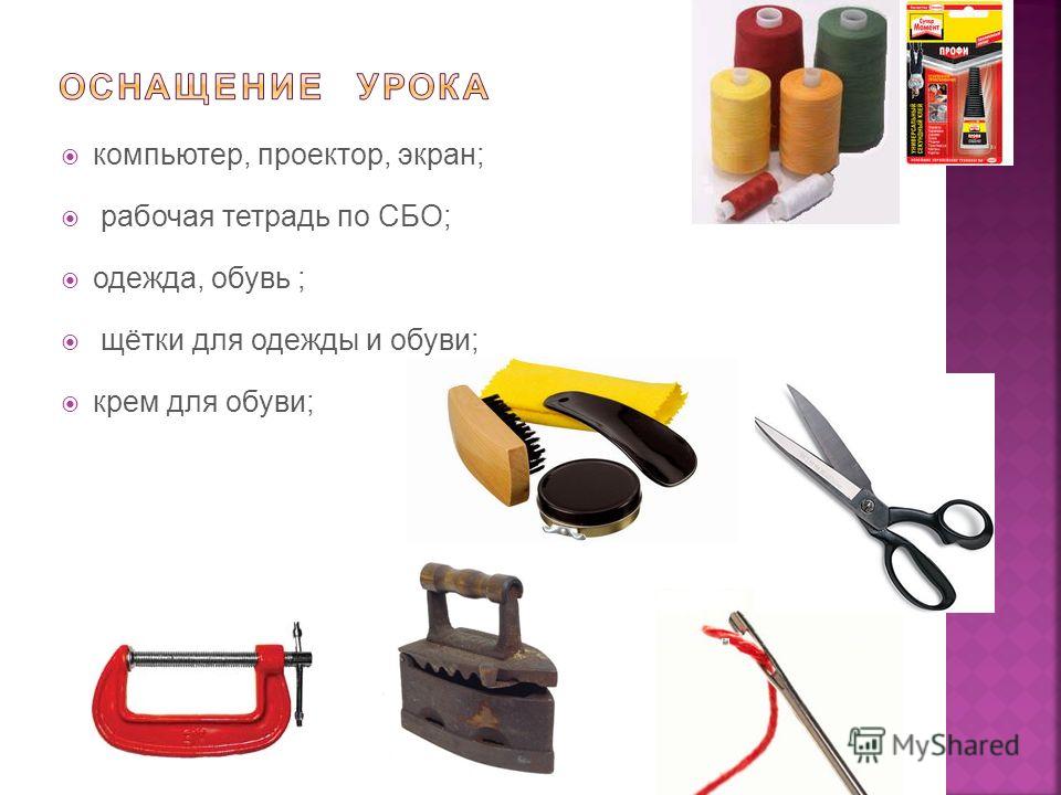 Исследовательская работа по направлению: педагогика и психология, тема Интересные факты о человеке Музей фактов