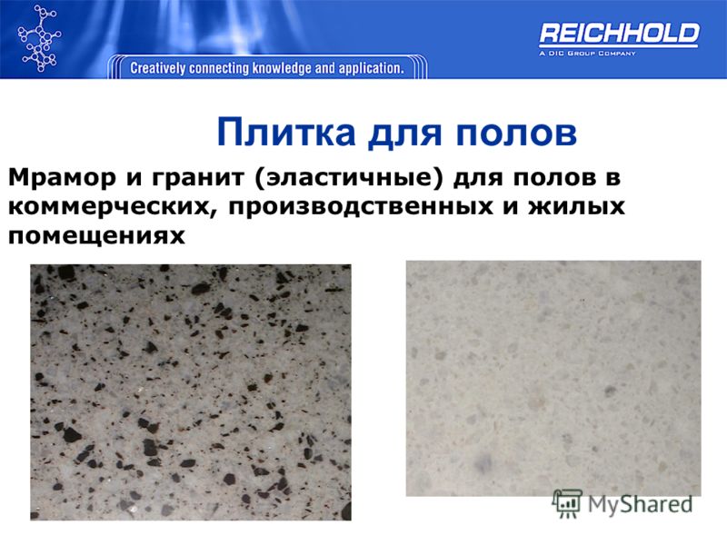 Elit Dom Cached