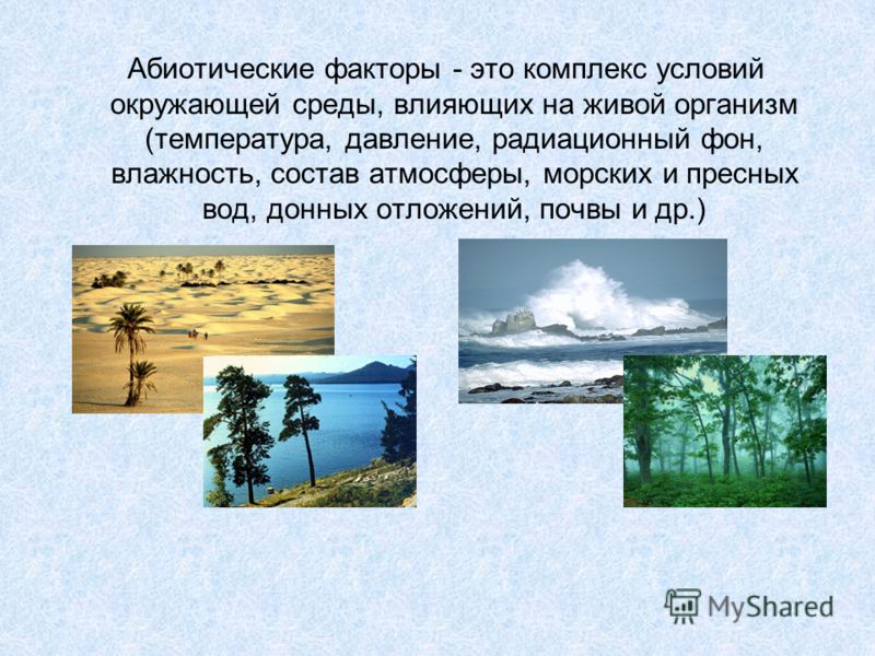 Рабочая программа подготовительная группа от рождения до школы
