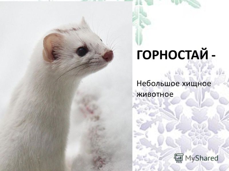 До какого возраста читать сказки
