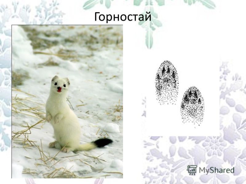 Т 34 Снег Т 34 Снег