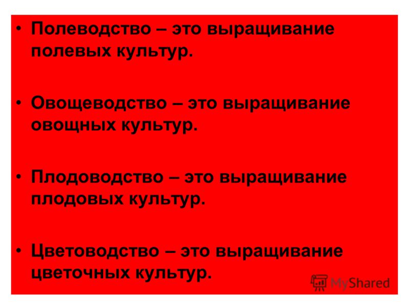 Когда поливать землю Когда поливать землю