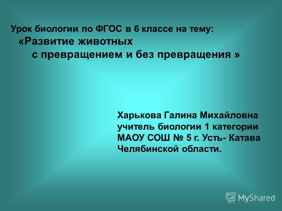 Приворожить любимую девушку по фото в домашних условиях читать