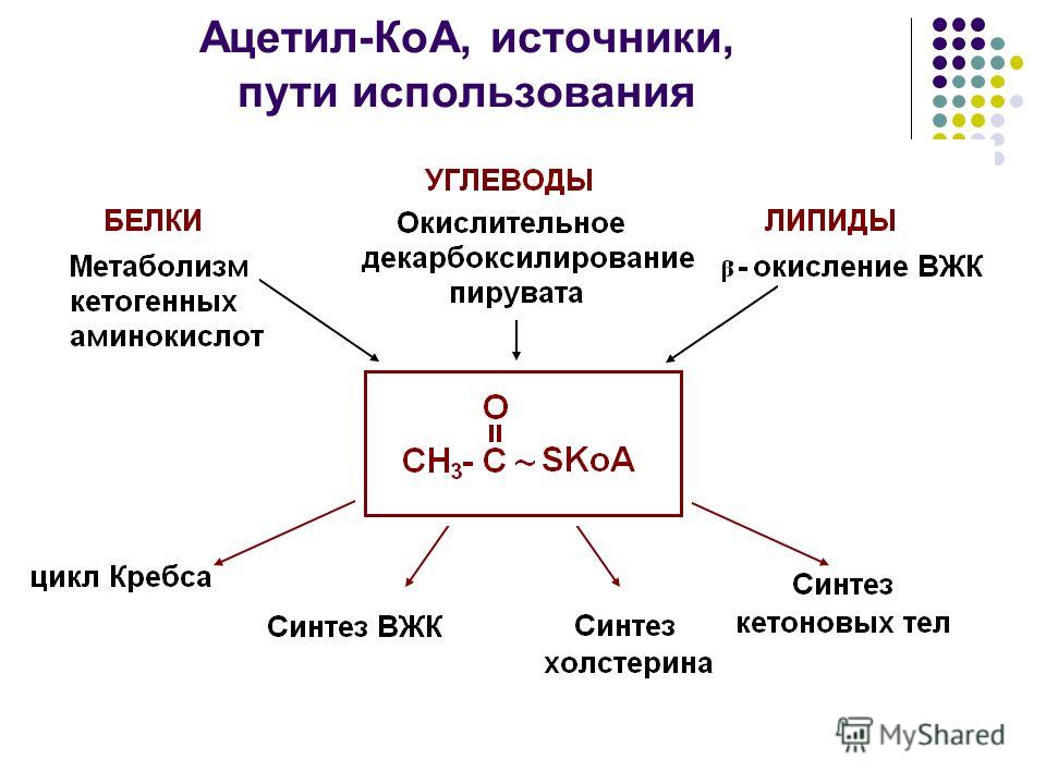 холестерин нарушение обмена веществ или холестерин нарушение обмена веществ или