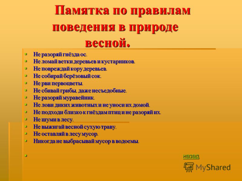 Картинки правила поведения весной Картинки правила поведения весной