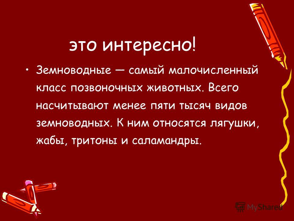Доклад на Тему Тритон