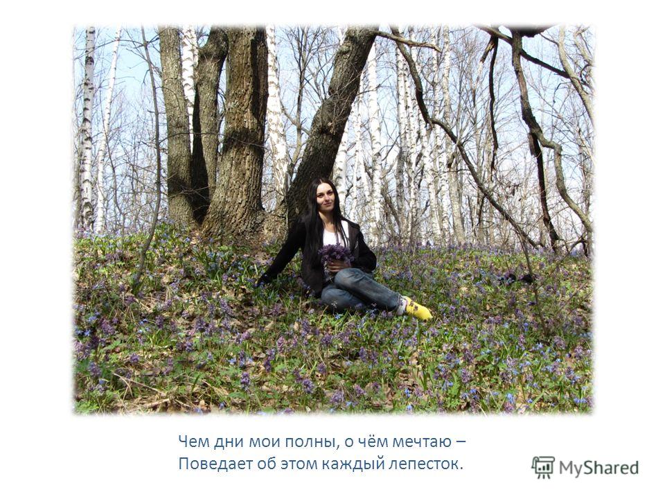 Цветок и нож о чем Цветок и нож о чем