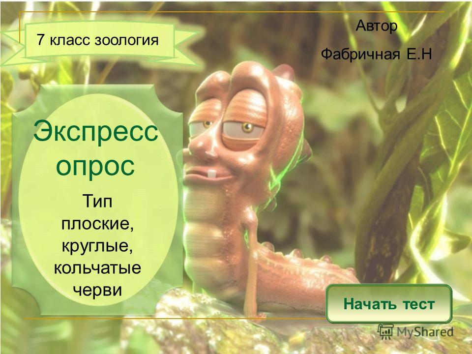 виды паразитов человека виды паразитов человека