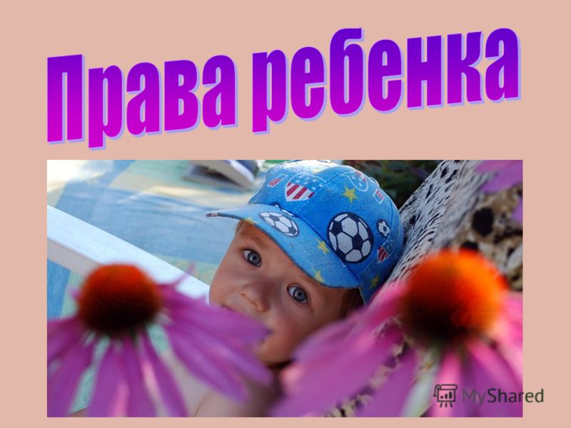 Рабочая программа по физкультуре 8 кл