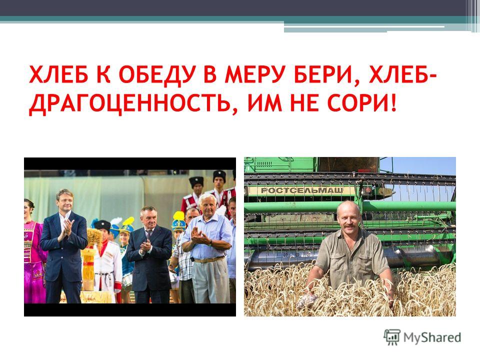 Полеты на вертолете в Подмосковье или воздушные экскурсии Марина Цветаева «Уж сколько их упало в эту бездну.»