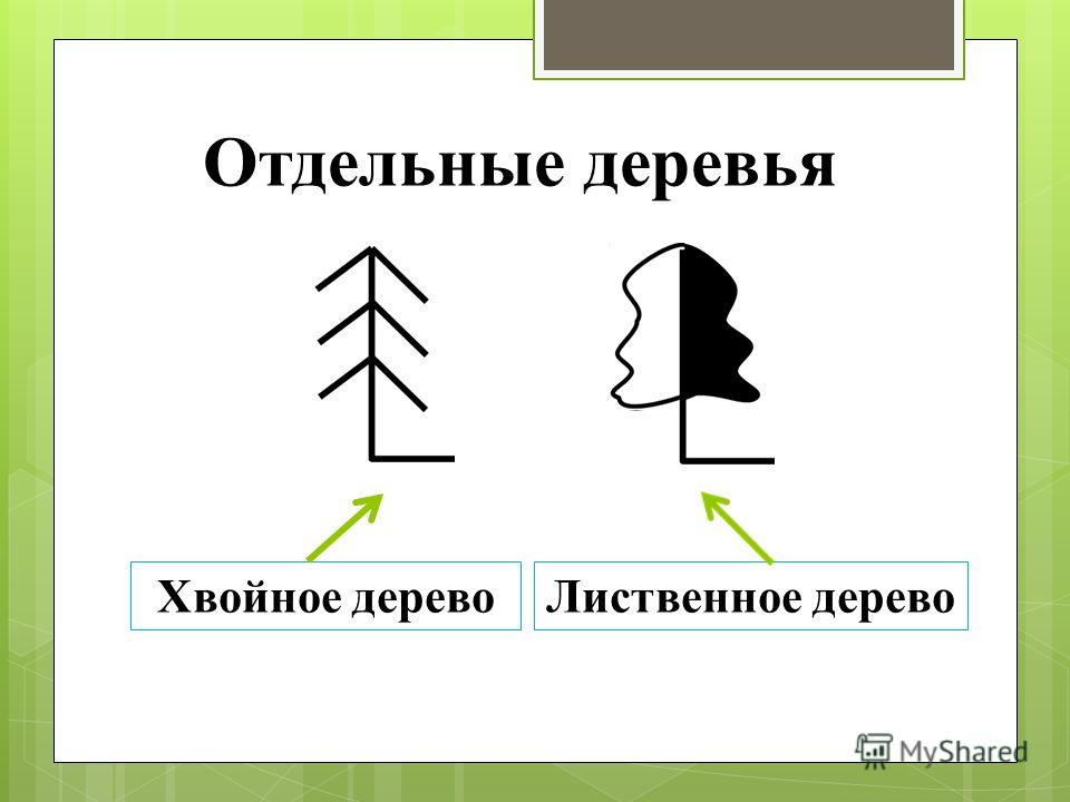 http://images.myshared.ru/822054/slide_11.jpg