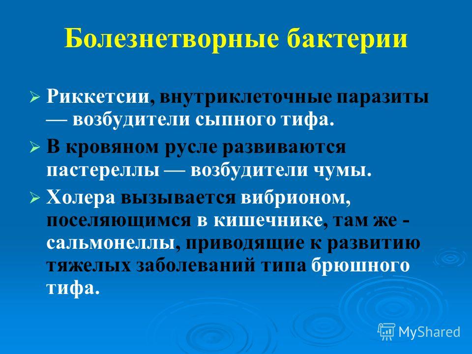 паразиты тканях человека паразиты тканях человека