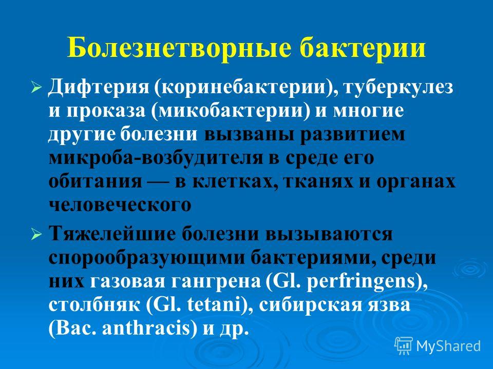 паразиты в тонком кишечнике человека симптомы паразиты в тонком кишечнике человека симптомы