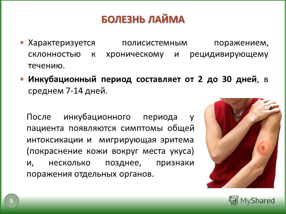 признаки поражения организма паразитами признаки поражения организма паразитами