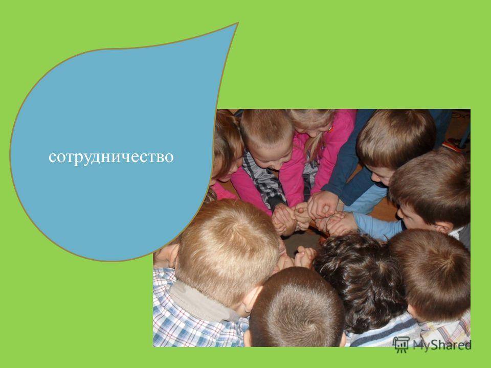 Цветок толерантность что это Цветок толерантность что это