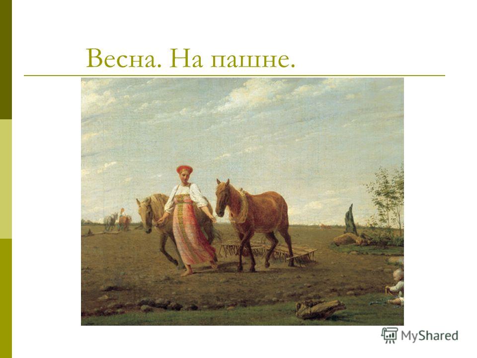 Картинки природа кусты сирени Картинки природа кусты сирени