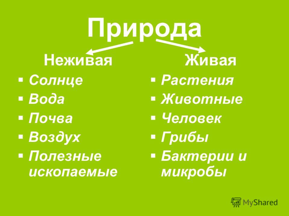 Учебники Математика Для 1 Класса Школа 2100 Бесплатно Баланс