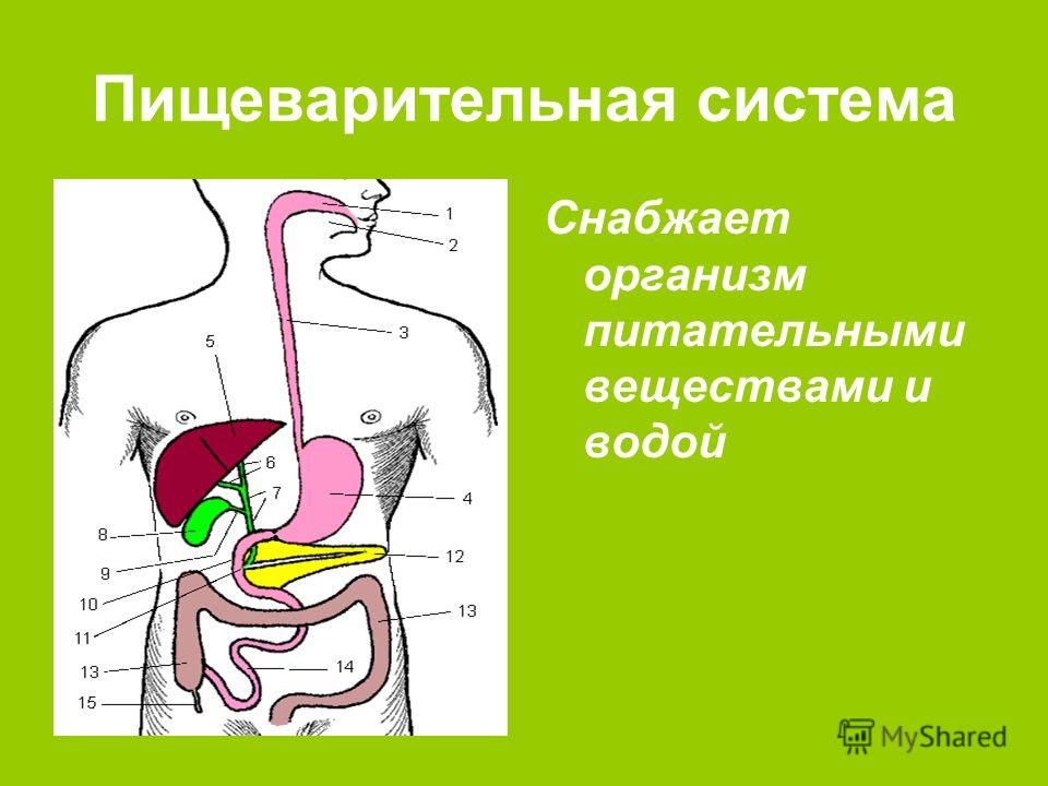 Решебник о Путина 8 Класс Алгебра