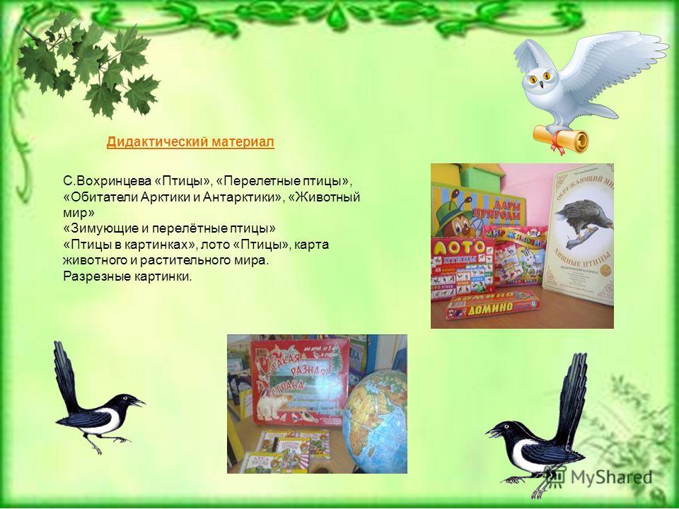Презентация Перелетные И Зимующие Птицы Для Дошкольников