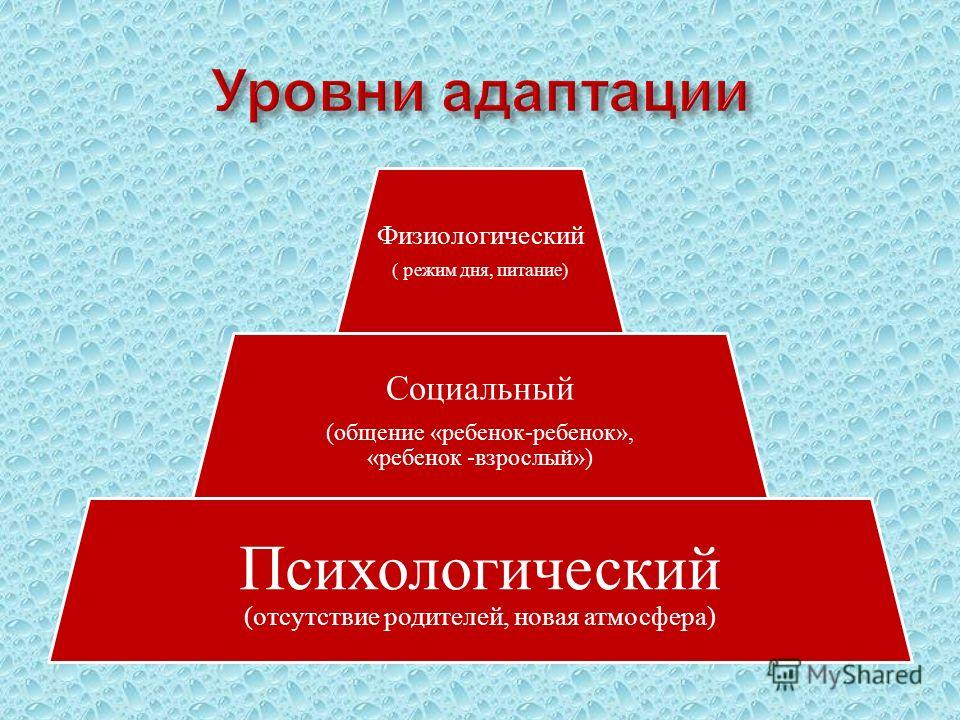 Когда малыш спит с родителями Когда малыш спит с родителями