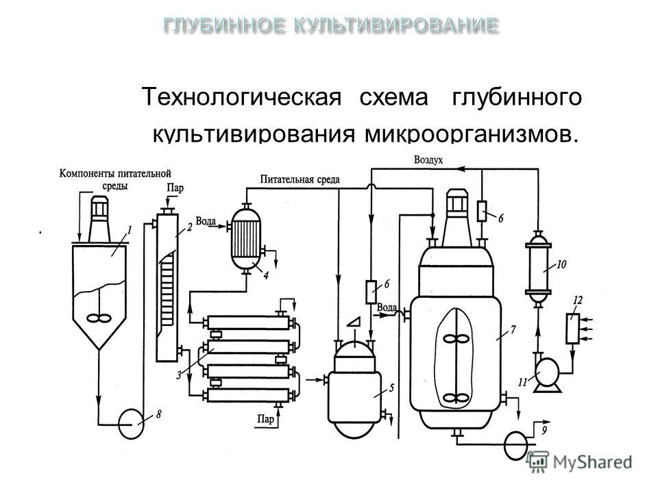 Поздравление для папы сестры подруги Поздравление для папы сестры подруги