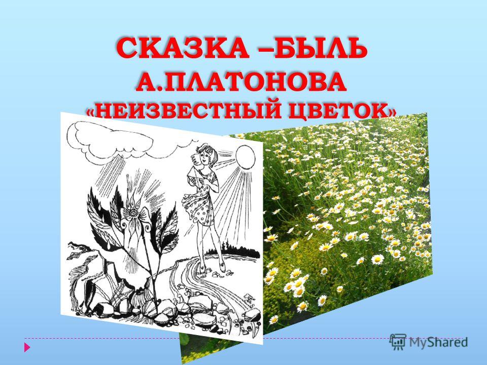 Неизвестный цветок это сказка Неизвестный цветок это сказка