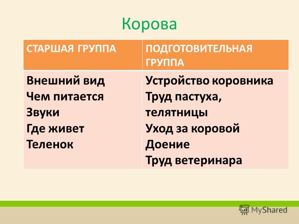 Экскурсии в лес сценарий Экскурсии в лес сценарий