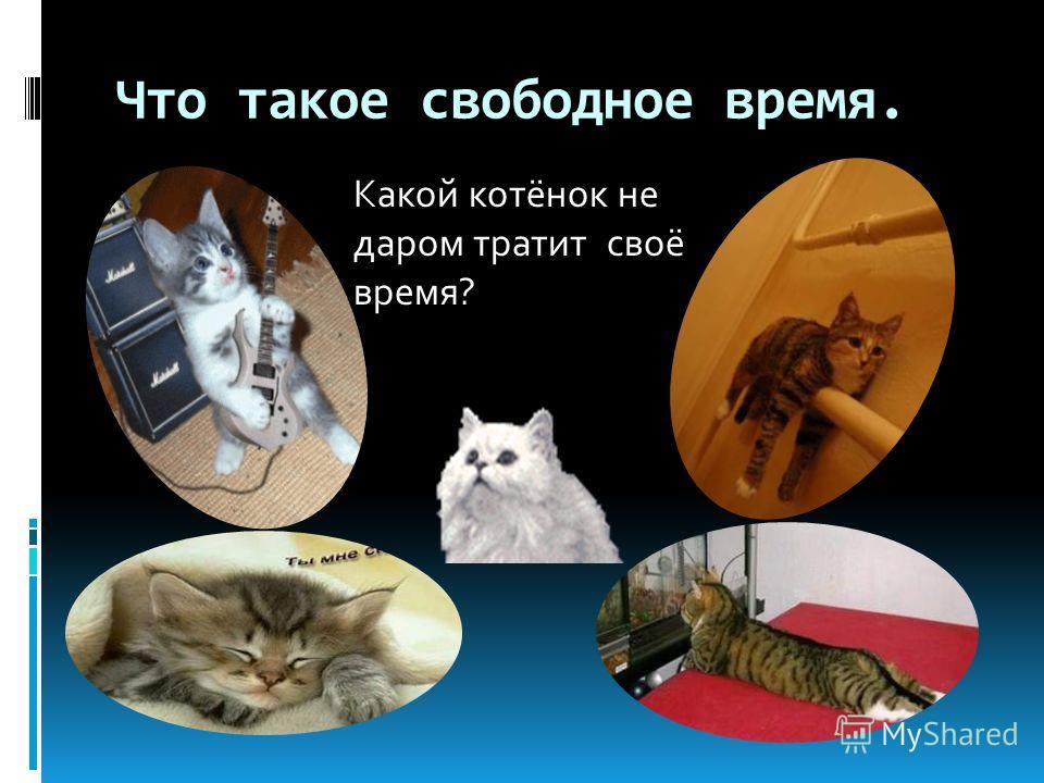 Смотреть Жил на свете человек видео Смотреть Жил на свете человек видео