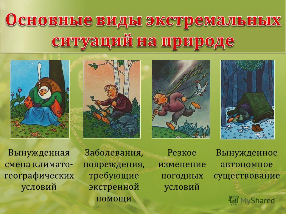 download фауна россии насекомые ложносетчатокрылые insecta pseudoneuroptera 1919