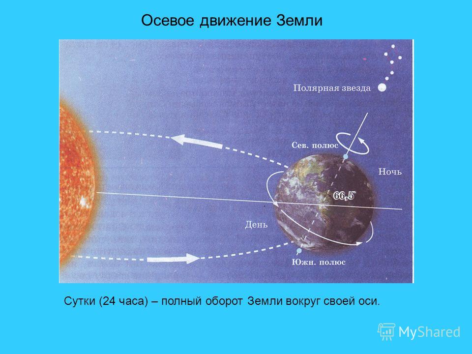 download основы математического анализа функция нескольких переменных дифференциальные уравнения