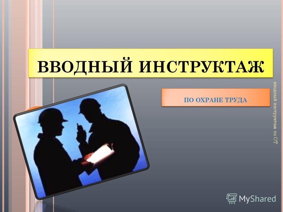 скачать программу вводного инструктажа в общественном питании