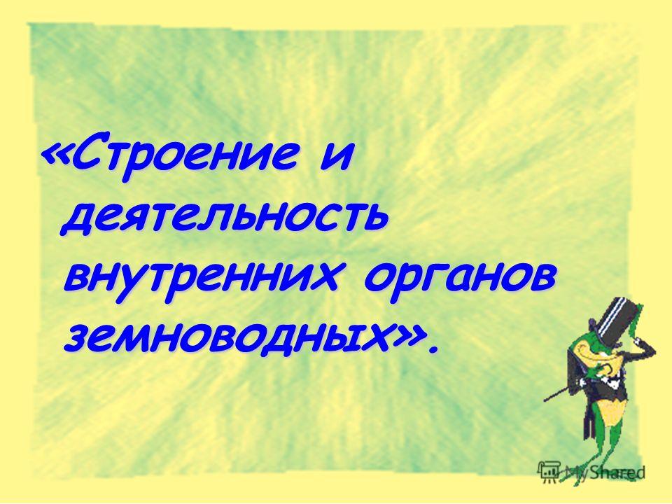 Строение и деятельность внутренних Строение и деятельность внутренних