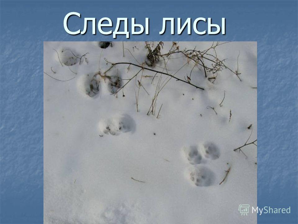 Пример заполнения Кассовой книги