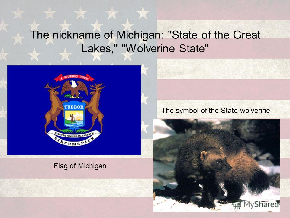 Презентация на тему: "USA Michigan. State is situated in the Midwestern of the US. Date of 