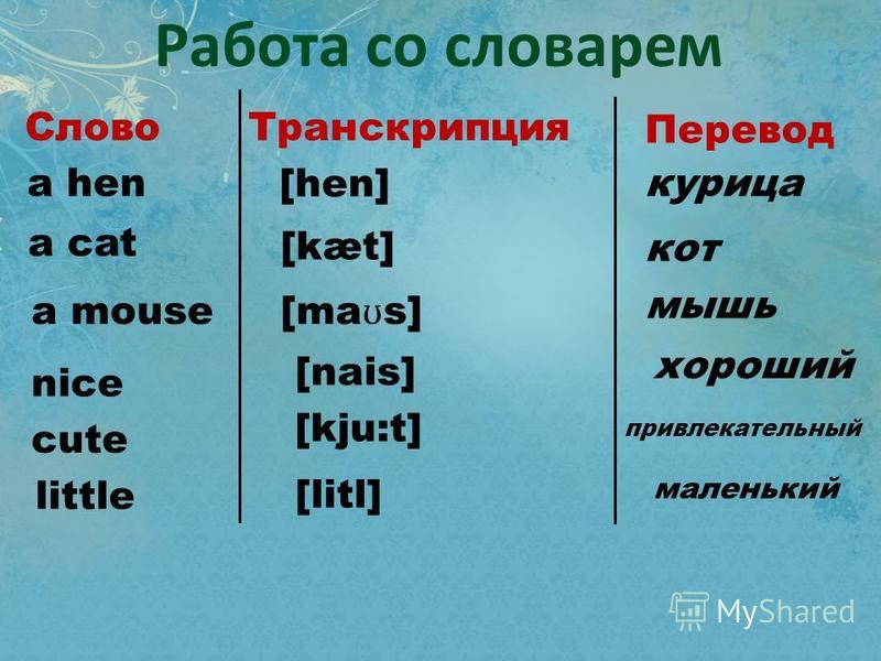 Транскрипция слова кот