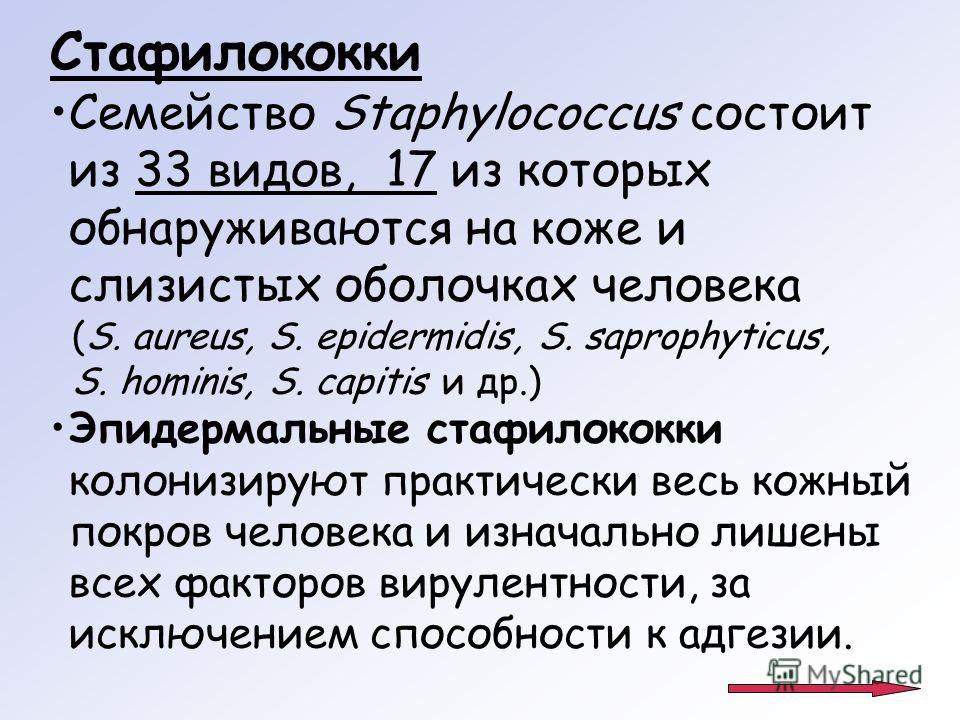 Навигация по записям